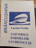 Lucian Gruia - Universul formelor lui Br&acirc;ncuși