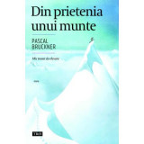 Din prietenia unui munte - Pascal Bruckner