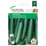Seminte legume Agrosel, castraveti Colosseum
