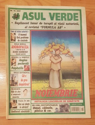 Revista Asul Verde Nr. 43 / 2007 (noiembrie 2007) foto