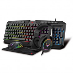 Set Gaming Rainbow Varr 4 in 1 RGB