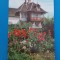 CPIB 23106 CARTE POSTALA - CAMPINA. CASA MEMORIALA N. GRIGORESCU, CIRCULATA, 1968, STAMPILE, TIMBRU