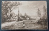 Carte postala, Romania, tarani la cosit, 1913