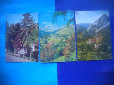 HOPCT LOT 2793 MUNTII APUSENI - JUD ALBA -3 CARTI POSTALE-NECIRCULATE foto