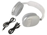 Wireless Headphones with Microphone USB-C White/Black 10m