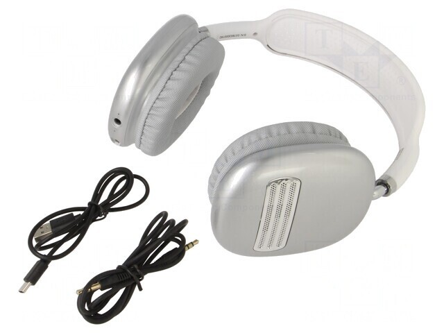Wireless Headphones with Microphone USB-C White/Black 10m