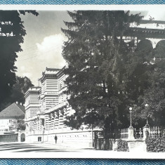 87 - Baile Herculane - Hotel Ferdinand / carte postala