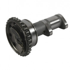 Ax cu came evacuare Yamaha YFZ 450R 09- 21 HotCams HC 4287-1E