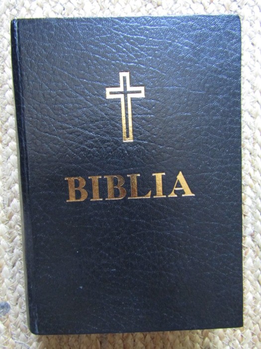 Biblia sau Sf&acirc;nta Scriptură tipărită sub &icirc;ndrumarea și cu purtarea de grijă a Prea Fericitului Părinte Teoctist, 1994, București