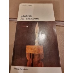 Pasarile lui brancusi , Athena T. Spear , 1976