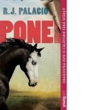 Ponei - Iulia Arsintescu, R. J. Palacio