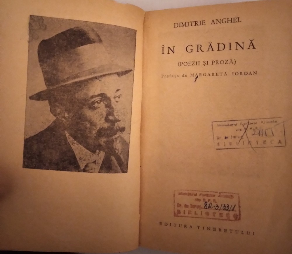 IN GRADINA - DIMITRIE ANGHEL | arhiva Okazii.ro