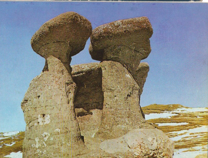 CPIB 16148 CARTE POSTALA - BUCEGI . BABELE