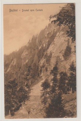Busteni - Muntii Bucegi , Drumul spre Cariera foto