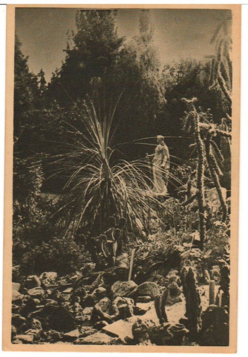 CPIB 17511 CARTE POSTALA - CLUJ. GRADINA BOTANICA, RPR