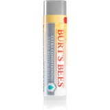 Burt&rsquo;s Bees Lip Care balsam pentru buze uscate 4.25 g