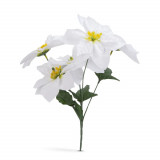 Decor de sarbatori - Poinsettia alba, Oem