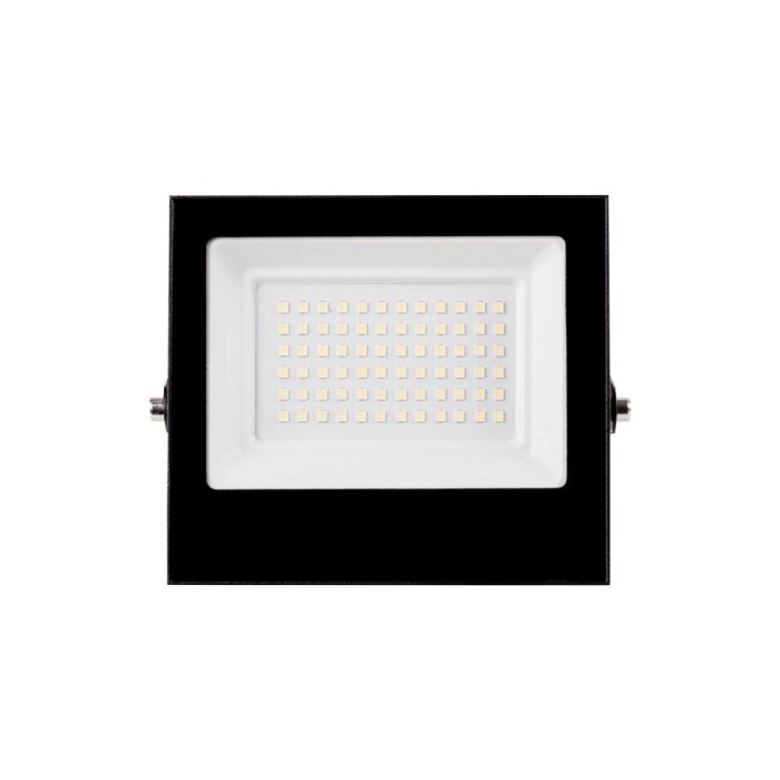 Proiector LED 30W 6400K, Homelight