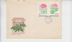 C12 - FDC Romania - Muscate din gradina - LP678 - 1968