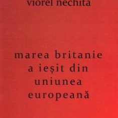 Marea Britanie a iesit din Uniunea Europeana - Viorel Nechita