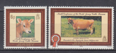 JERSEY 1979 ANIMALE DOMESTICE SERIE MNH foto