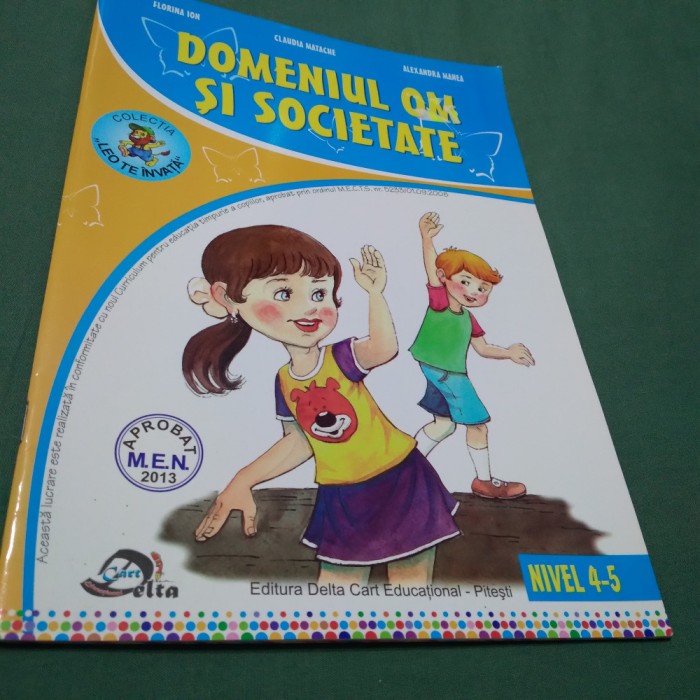 DOMENIUL OM SI SOCIETATE -FLORINA ION FORMAT MARE