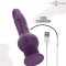 Vibrator Multifuncțional INTENSE Tatum &ndash; 24 cm, Mișcare Sus-Jos, 2 Motoare, 9 Vibrații, Rezistent la Apă, Violet