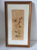 * Tablou din flori naturale presate, montate pe hartie artizanala, rama lemn