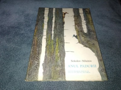 SOKOLOV MIKITOV - ANUL PADURII foto