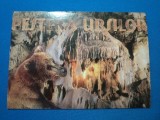 PESTERA URSILOR -CHISCAU