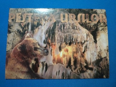 PESTERA URSILOR -CHISCAU foto