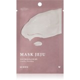 Mizon Joyful Time Jeju Camellia mască textilă nutritivă cu efect antioxidant 23 g