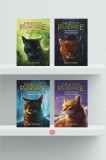 Pachet Seria Pisicile războinice (Vol. 21&ndash;24) - Erin Hunter