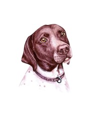 Sticker decorativ Caine Pointer, Maro, 71 cm, 3721ST foto