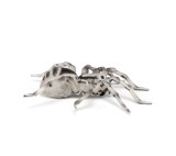 Figurina - Wild Animal Kingdom - Tarantula | Papo