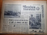 scanteia tineretului 27 august 1963-art. regiunea arges,timisoara ,deva,galati