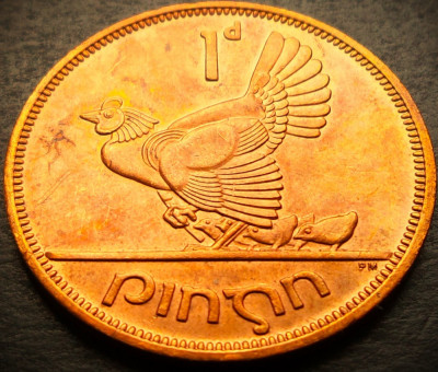 Moneda istorica 1 PENNY / PINGIN - IRLANDA, anul 1968 * cod 4241 = UNC foto