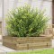 vidaXL Jardinieră de grădină, 80x80x23 cm, lemn de pin impregnat 847202
