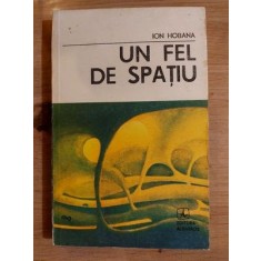 Un fel de spatiu- Ion Hobana