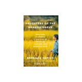 Daughters of the Bamboo Grove: From China to America, a True Story of Abduction, Adoption, and Separated Twins