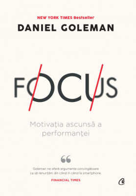 Focus MOTIVATIA ASCUNSA A PERFORMANTEI. Editia a II-a - Daniel Goleman foto