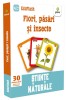 Flori, pasari si insecte, Cartonata, Gama
