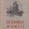 Se Urnesc Muntii - Roman