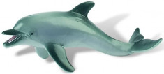 Delfin foto