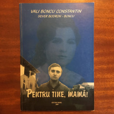 Vali Boncu Constantin - Pentru tine, mamă! Roman (2004, cu autograf!) - Ca noua!