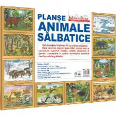 Animale salbatice. Set 10 planse