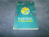 M E JABOTINSKI - RADIOUL IN ZILELE NOASTRE
