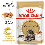 Cumpara ieftin Royal Canin Maine Coon Adult hrana umeda pisica (in sos), 85 g