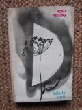 Balada lunii &ndash; Horia Furtuna