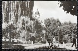 Carte postala. Radauti, vedere din parc, 1968